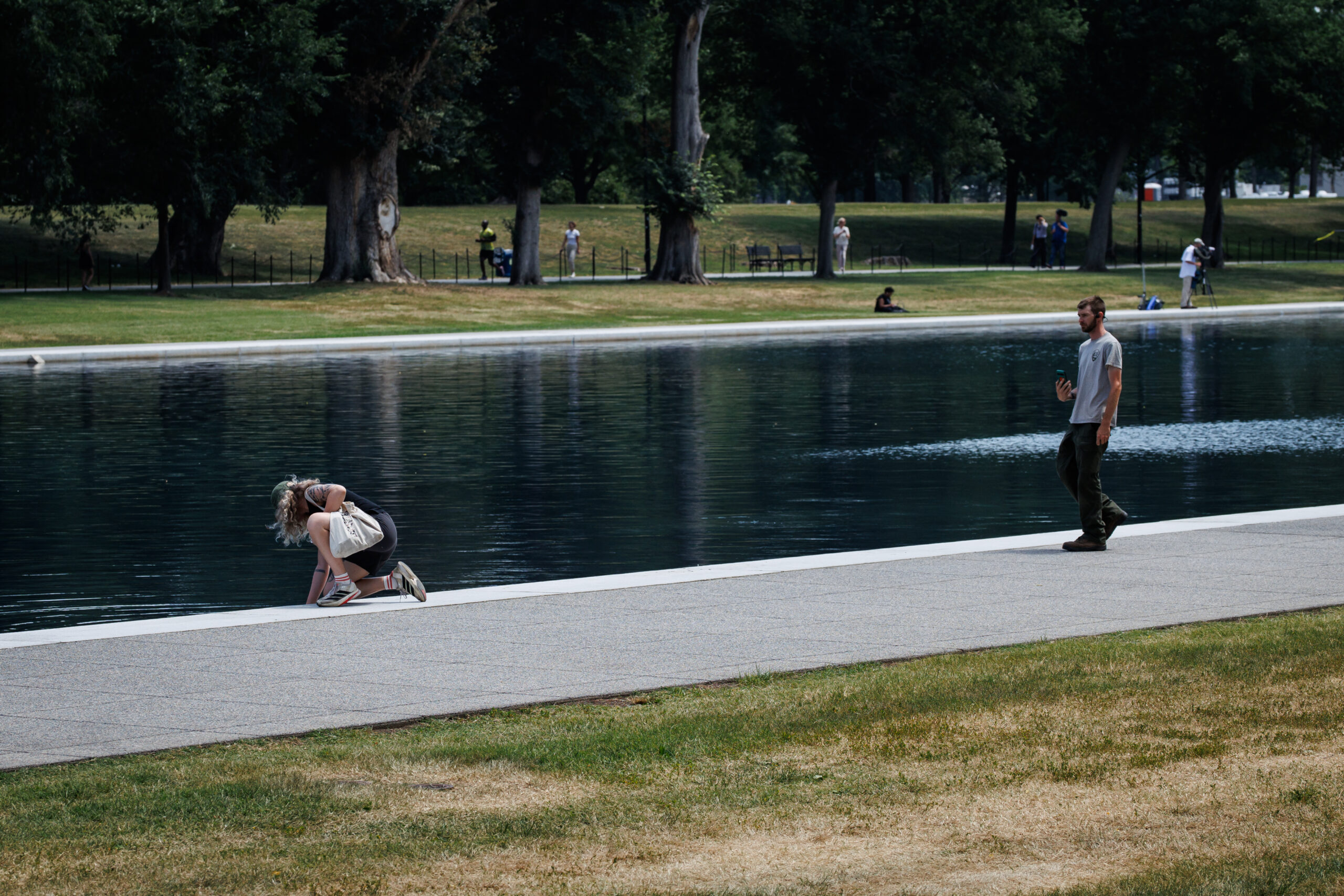 DC: Lincoln Memorial Reflecting Pool Algae Cleanup Continues