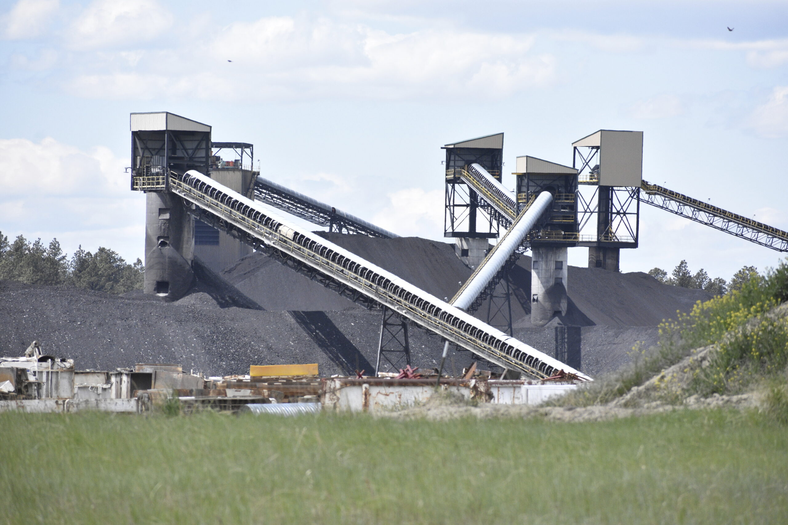 Trump Coal Exports