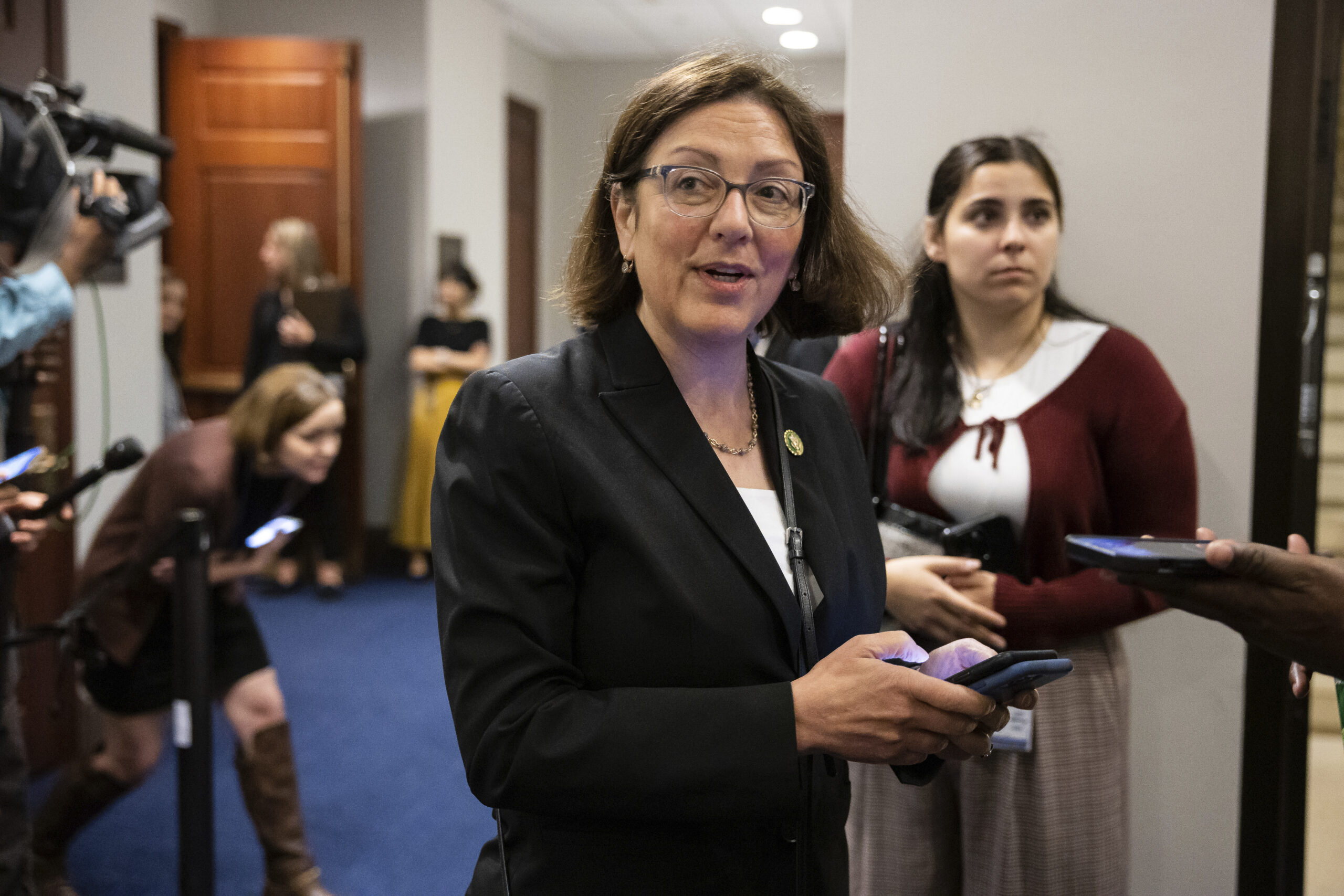 House Democrats