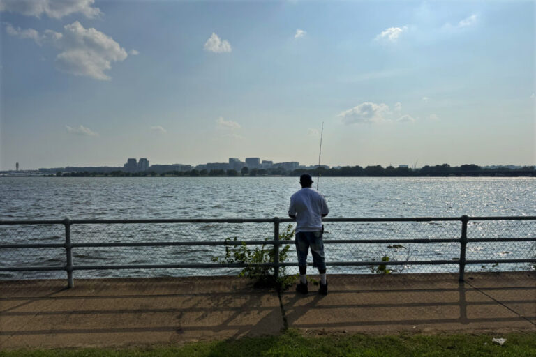 Hains Point recreation