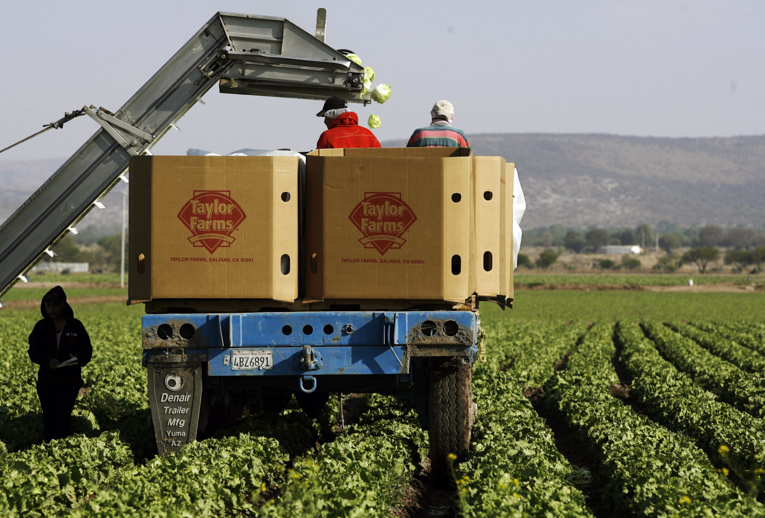 Mexico Offshore Farming