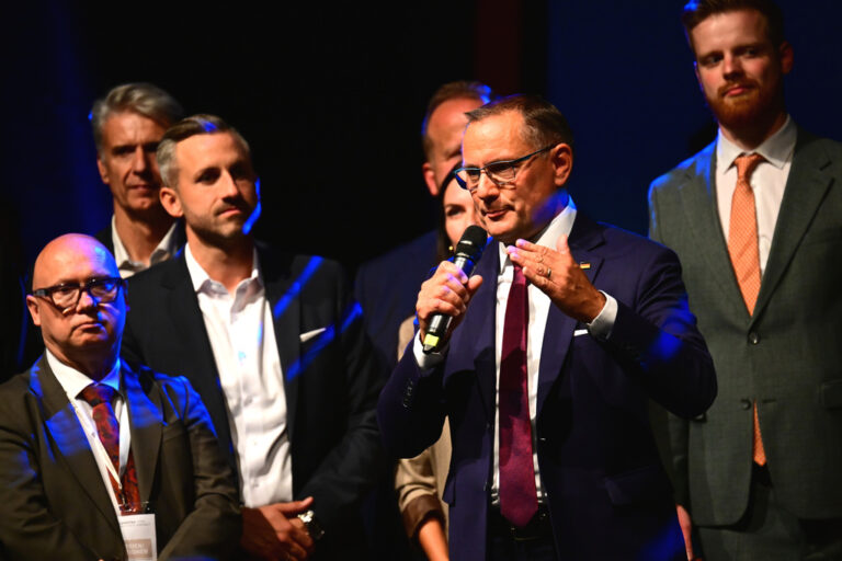 State Election in Saxony-Anhalt · AfD Election Party